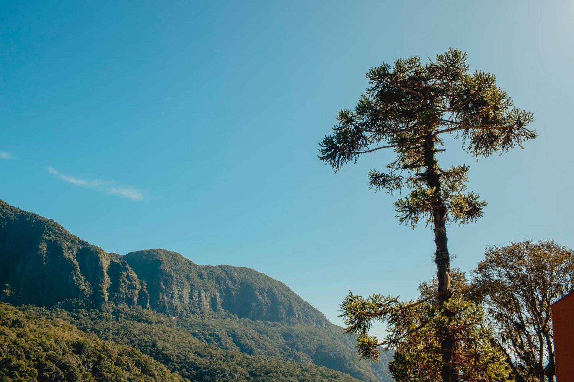 Pousada Bugio Da Serra Novo Horizonte  Dış mekan fotoğraf