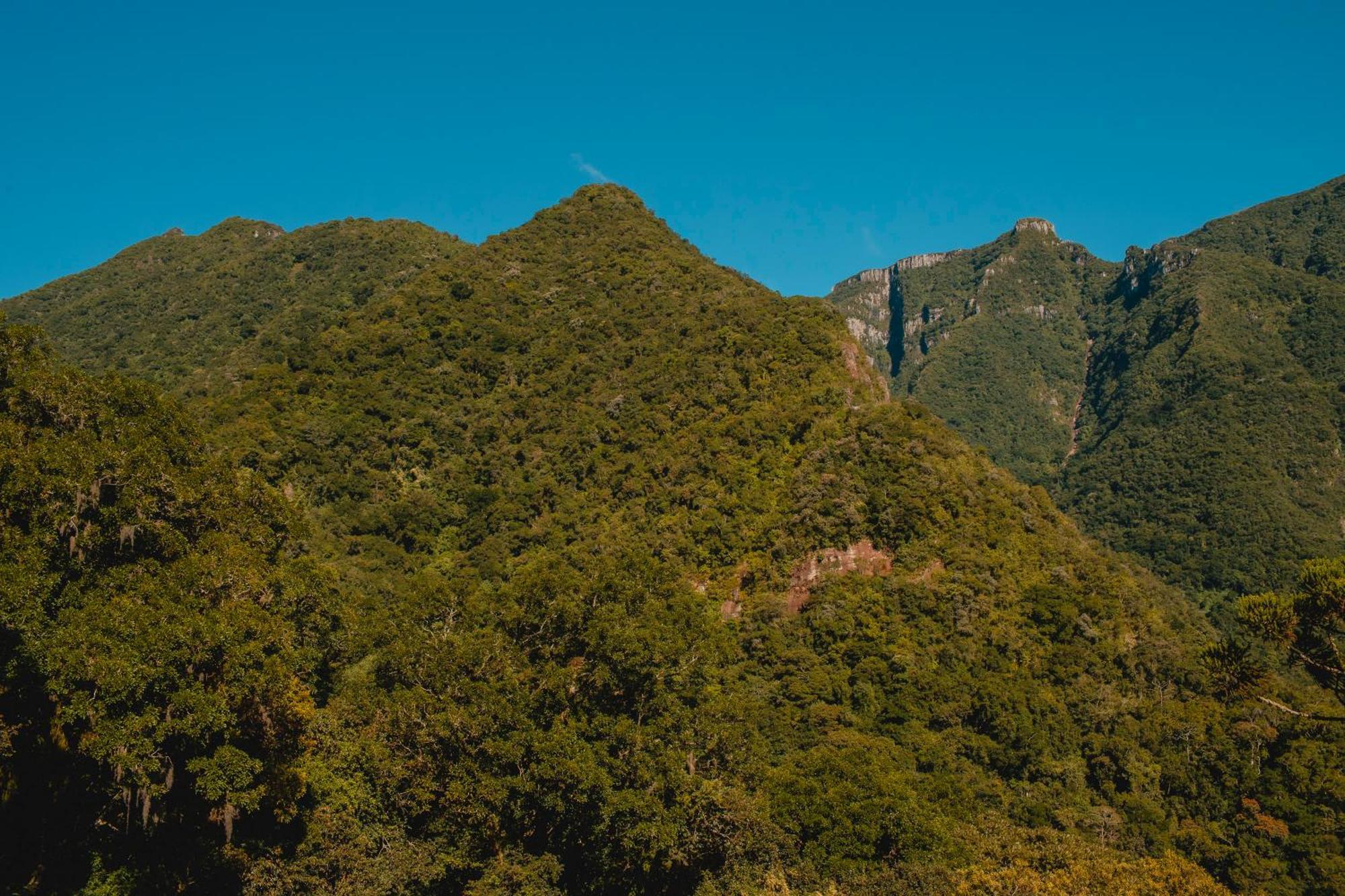 Pousada Bugio Da Serra Novo Horizonte  Dış mekan fotoğraf